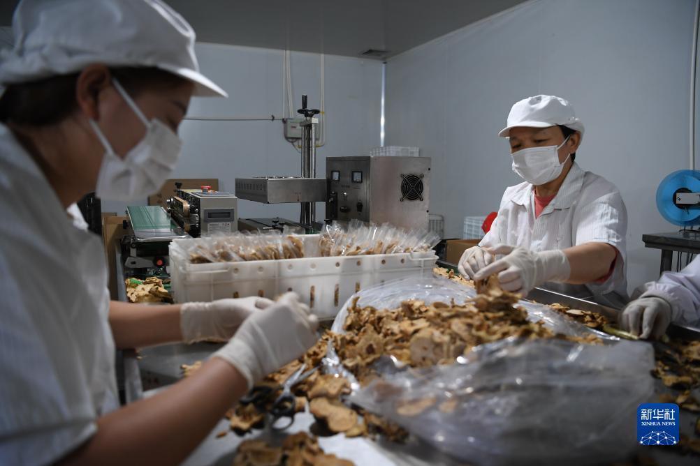 澳门注册会员送体验金